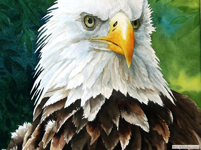 American Glory