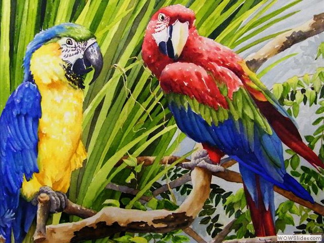 Bird Talk