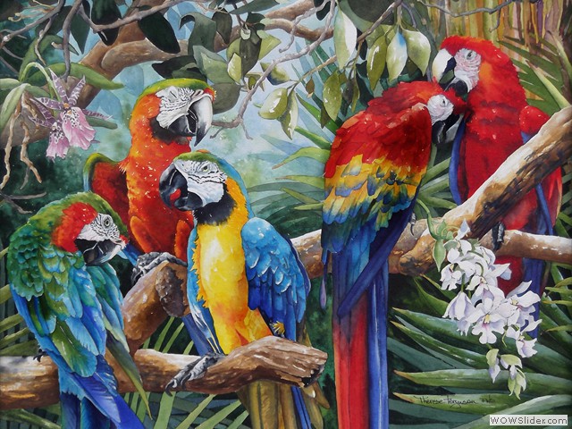 Birds of a Feather