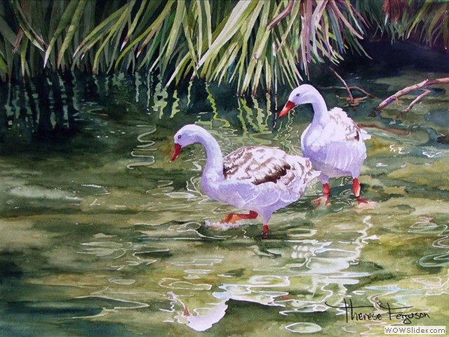 Ducktails