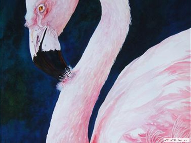 Flamingo2
