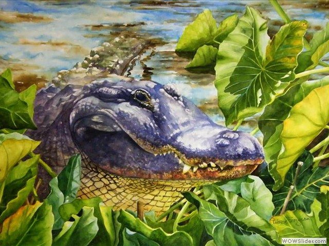 Gator