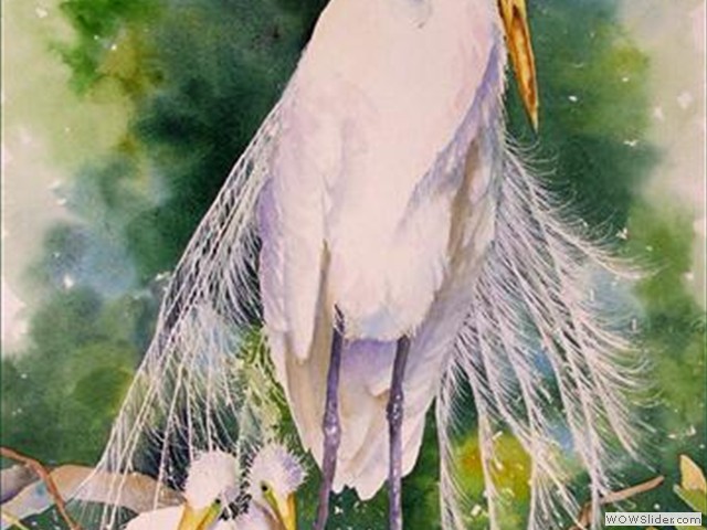 Heron Babies