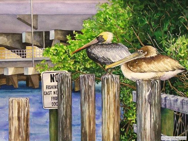 Pelicans