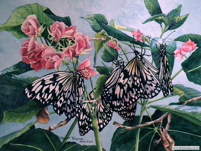 Tree Nymphs