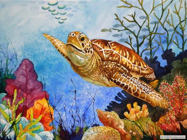 Turtle