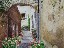 Italian Street